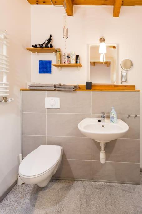 Apartment Wilhelmstr Fuer Bis Zu 3 Personen Brühl المظهر الخارجي الصورة